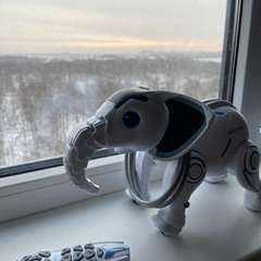 Фото отзыва 10843842