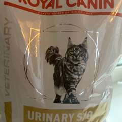 Фото отзыва 11010294