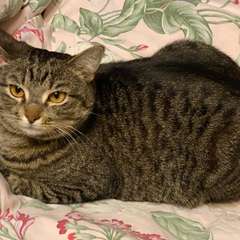 Фото отзыва 10640877