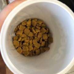 Фото отзыва 10953875