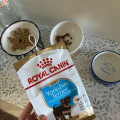 Фото отзыва 10954675