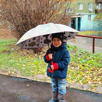 Зонт-трость Wappo: отзыв пользователя Детский Мир