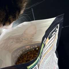 Фото отзыва 10726779