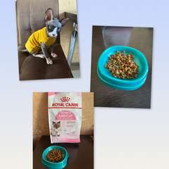 Фото отзыва 10998145