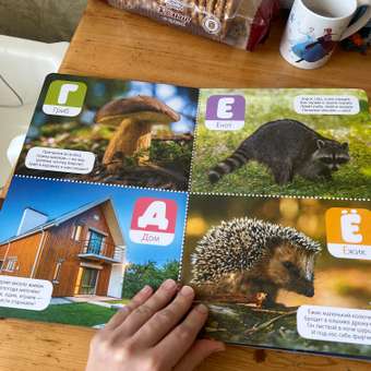 Книга звуковая МОЗАИКА kids Говорящая азбука: отзыв пользователя Детский Мир