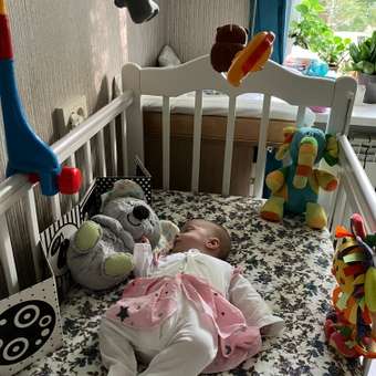 Игрушка Fisher Price Коала: отзыв пользователя Детский Мир