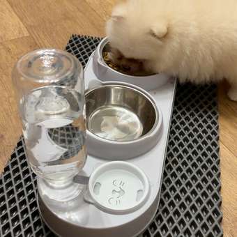 Корм для щенков ROYAL CANIN Puppy мелких пород 800г: отзыв пользователя. Зоомагазин Зоозавр
