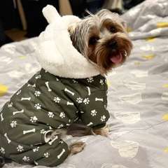 Фото отзыва 10627758