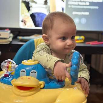 Ходунки Babyton Quack: отзыв пользователя ДетМир