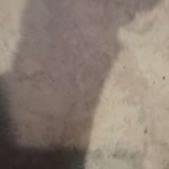 Видео отзыва 7834923