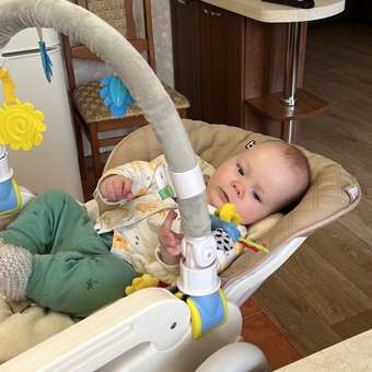 Стульчик для кормления Babyton Coffee классический: отзыв пользователя ДетМир