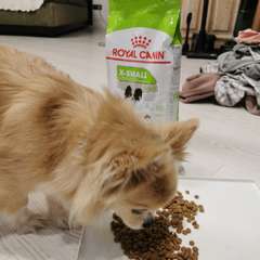 Фото отзыва 10560047