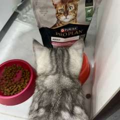 Фото отзыва 10589737