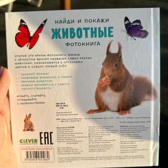 Книга Clever Издательство Найди и покажи. Фотокниги. Животные: отзыв пользователя Детский Мир
