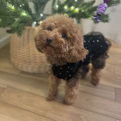 Фото отзыва 10848170