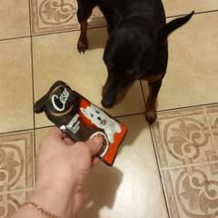 Фото отзыва 2954184