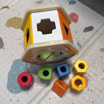 Игрушка Hape сортер Учим по цветам: отзыв пользователя Детский Мир