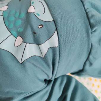 Боди Ивбэби: отзыв пользователя Детский Мир