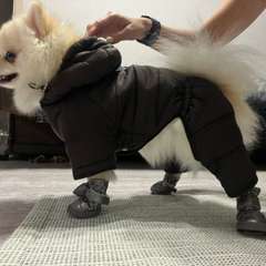 Фото отзыва 10721580