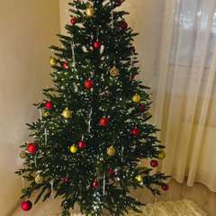 Фото отзыва 10858718