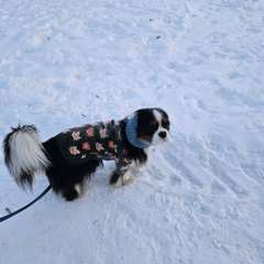 Фото отзыва 10940600