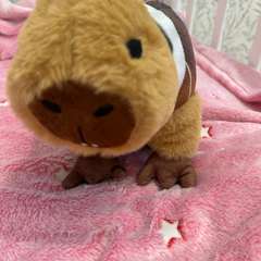 Фото отзыва 11031615