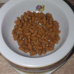 Фото отзыва 10668668