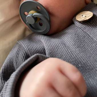 Пустышка BIBS латекс классическая от 0 мес.: отзыв пользователя Детский Мир