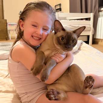 Корм сухой для кошек PRO PLAN DELICATE DIGESTION 400г + 200г с курицей для стерилизованных: отзыв пользователя. Зоомагазин Зоозавр