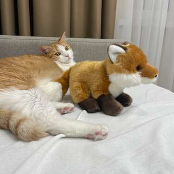 Мягкая игрушка Aurora лисичка: отзыв пользователя Детский Мир