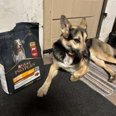 Фото отзыва 10886462