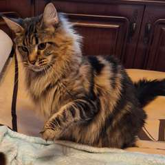 Фото отзыва 11048051