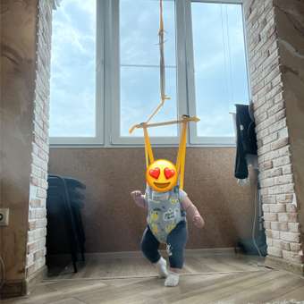 Прыгунки подвесные Babyton: отзыв пользователя ДетМир