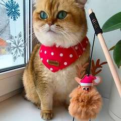 Фото отзыва 9692826