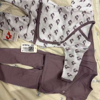 Распашонка 2 шт Little Fox: отзыв пользователя Детский Мир