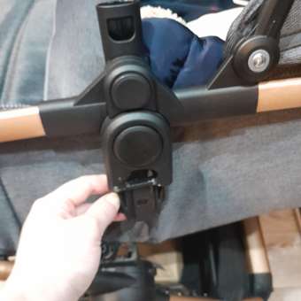 Коляска трансформер Rant Basic Roller Gold 2в1, grey серый: отзыв пользователя Детский Мир