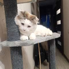 Фото отзыва 11059344