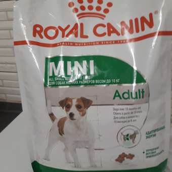 Корм для собак ROYAL CANIN мелких пород 4кг: отзыв пользователя. Зоомагазин Зоозавр