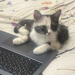 Фото отзыва 10877312