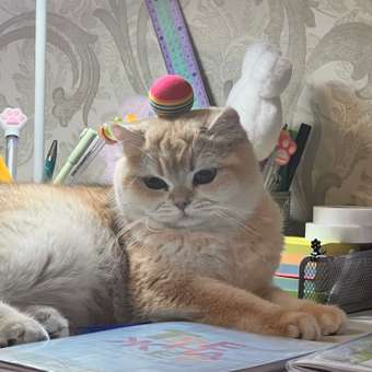 Игрушка для кошек Barbaks Морковки из натурального волокна 2шт: отзыв пользователя. Зоомагазин Зоозавр