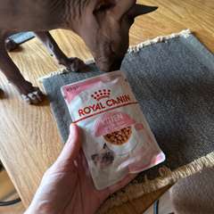 Фото отзыва 10533212