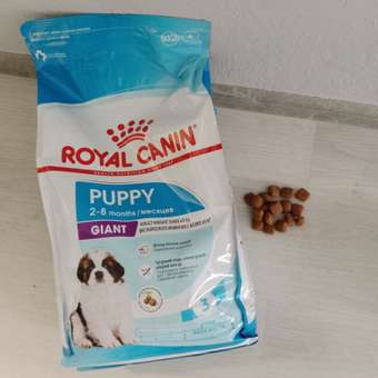 Корм для щенков ROYAL CANIN гигантских пород 2-8месяцев 3.5кг: отзыв пользователя. Зоомагазин Зоозавр