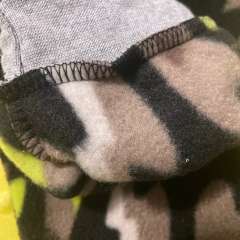 Фото отзыва 10459479