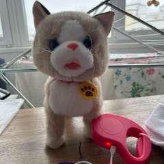 Фото отзыва 11061568