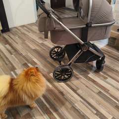 Фото отзыва 11065490