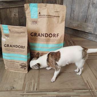 Корм для собак Grandorf Dog White Fish Mini белая рыба для собак мини пород 3кг: отзыв пользователя. Зоомагазин Зоозавр