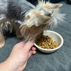 Фото отзыва 10827623