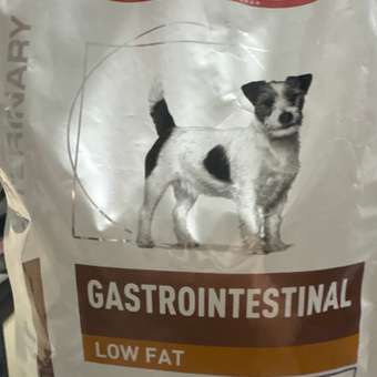 Корм для собак ROYAL CANIN Gastrointestinal low fat мелких пород 1кг: отзыв пользователя. Зоомагазин Зоозавр