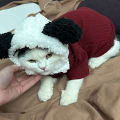 Фото отзыва 10835075