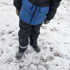 Фото отзыва 10648446